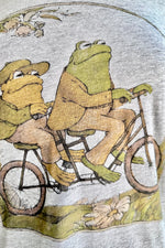 Frog and Toad T-Shirt in Grey