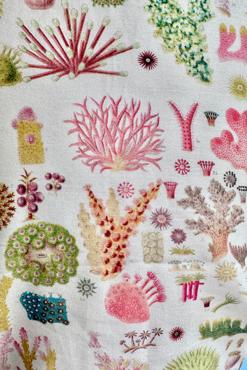 Cream Coral Reef Peggy Top by Palava x Natural History Museum