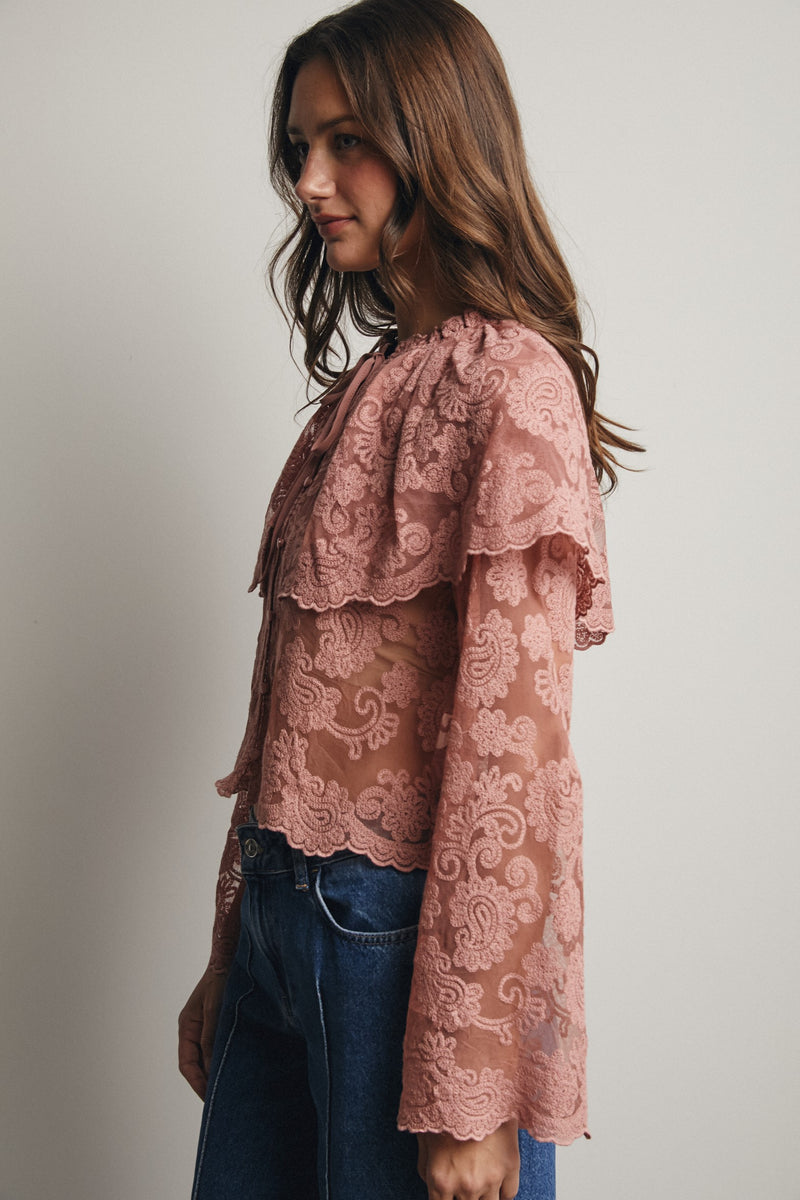 Lace and Embroidered Top in Blush