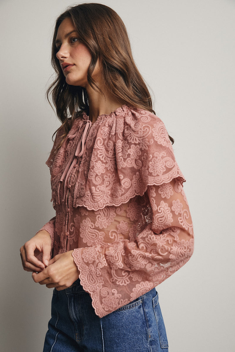 Lace and Embroidered Top in Blush