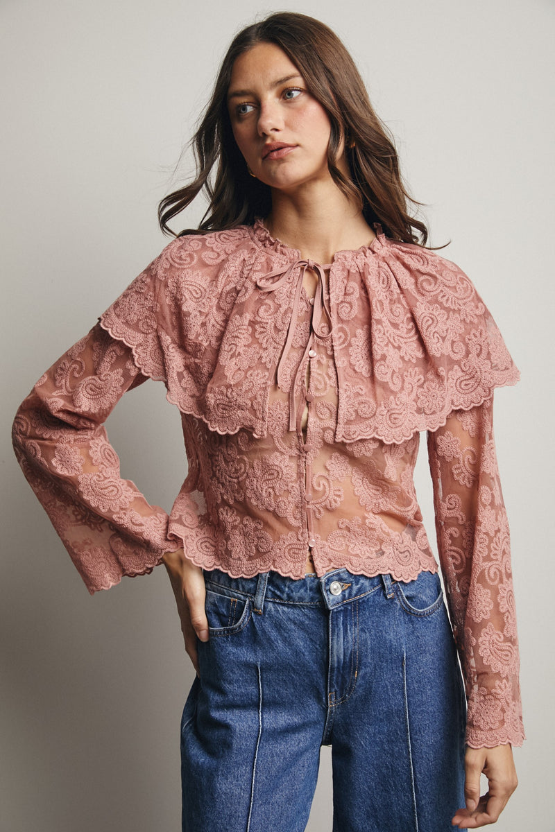 Lace and Embroidered Top in Blush