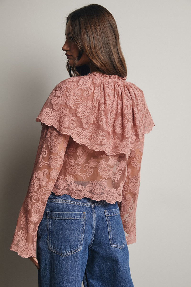 Lace and Embroidered Top in Blush
