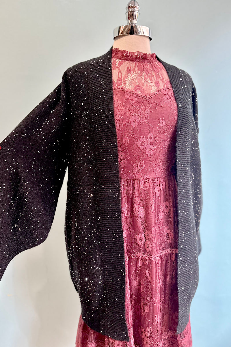 Lace Victorian Inspired Maxi Dress in Plum