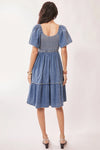 Denim Ruffle Sleeve Smocked Dress