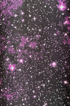 Purple Galaxies Full Skirt by Tulip B.
