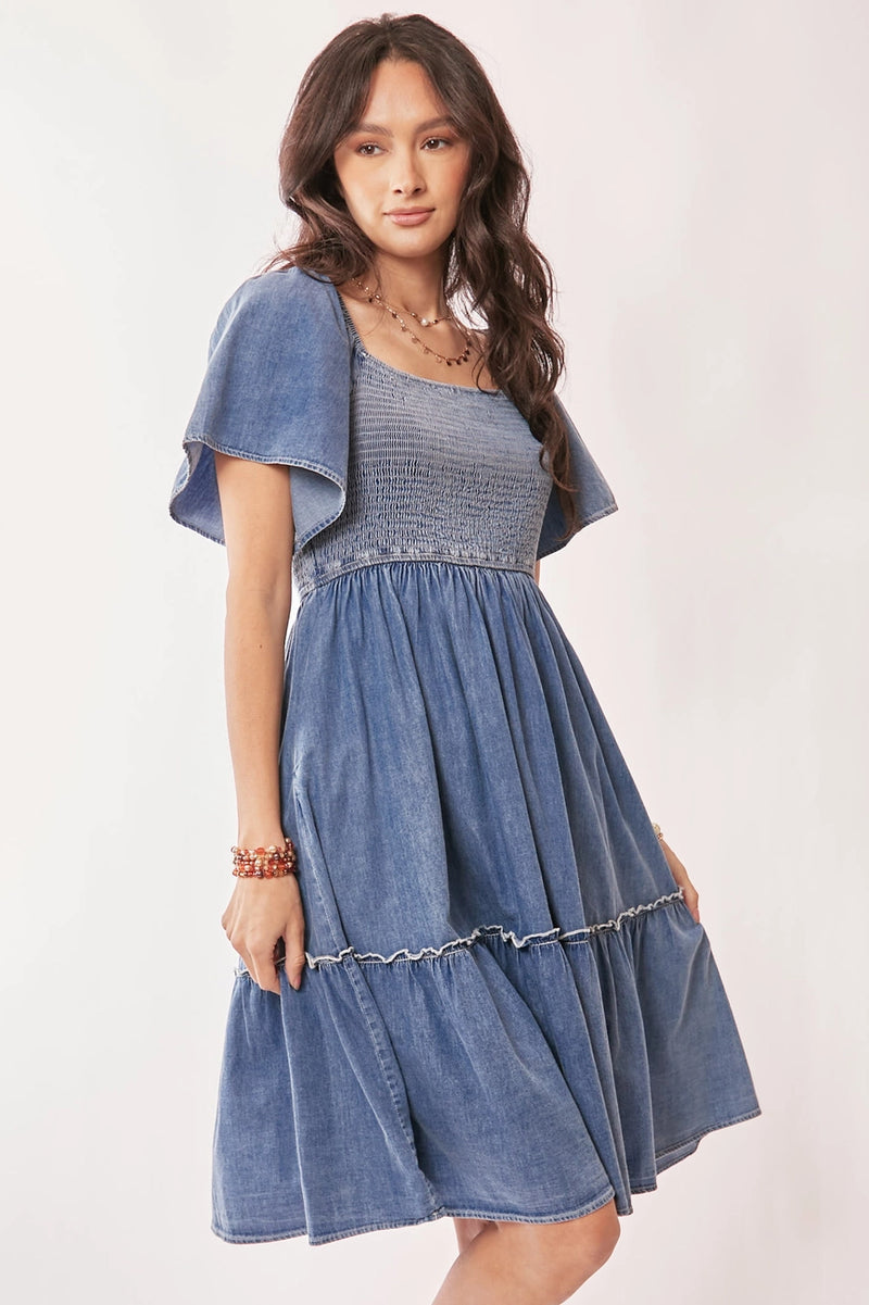 Denim Ruffle Sleeve Smocked Dress