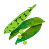 Peas Please Brooch by Erstwilder