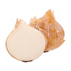 Onion Layers Brooch by Erstwilder