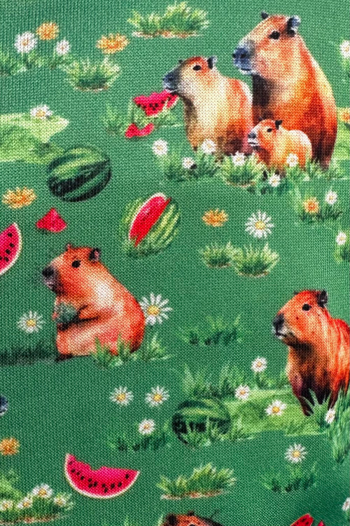 Capybara Eating Watermelon Amanda Dress in Spring Green by Dolly & Dotty