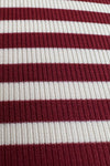 Rust Striped Jersey Turtleneck Top