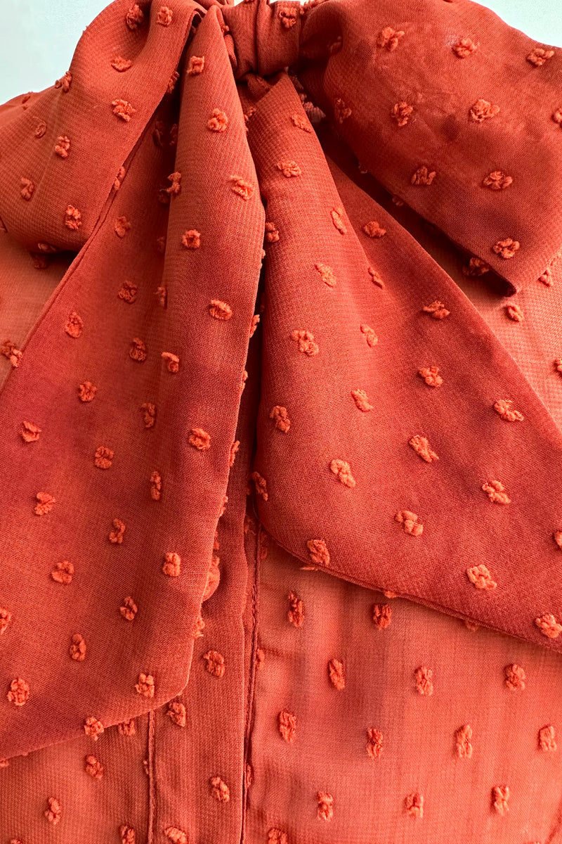 Rust Swiss Dot Long Sleeve Tie Neck Top