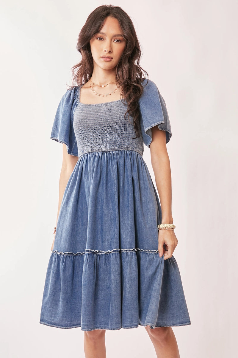 Denim Ruffle Sleeve Smocked Dress