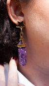 Crystal Dangle Earrings by Daisy Jean Florals