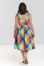 Rainbow Gingham Lucia 50's Skirt by Hell Bunny