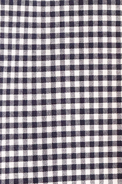 Navy Gingham Circle Skirt by Heart of Haute