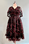 Agnetha-Lou Embroidered Mesh Occasion Dress by Miss Candyfloss